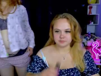 niri_vex webcam model stream image