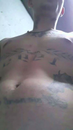 Tattooboy_19 webcam model stream image