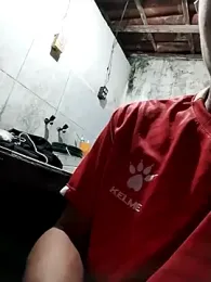 VersBi1 webcam model stream image