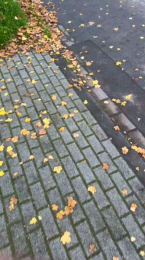 Basti0334 webcam model stream image