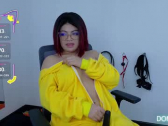 cat_white webcam model stream image