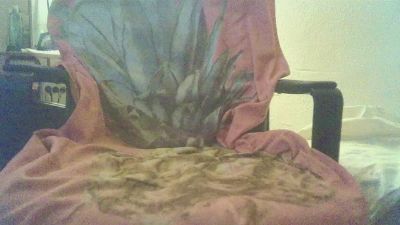 HotDogXL webcam model stream image