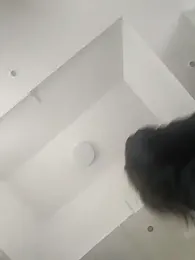 DannaDooll99 webcam model stream image