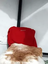 _BIG_DICK_BOY webcam stripchat model stream image