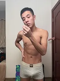 TOYOTA-01 webcam model stream image