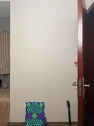TOYOTA-01 webcam model stream image