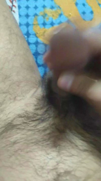 ZEFFAR87 webcam cam4 model stream image
