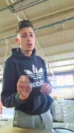 robinodxxx webcam model stream image