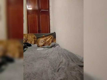 -Crazy- webcam model stream image