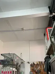 Paul22cm- webcam stripchat model stream image