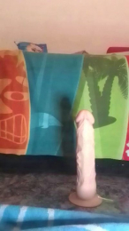 BostonGeorge69 webcam model stream image