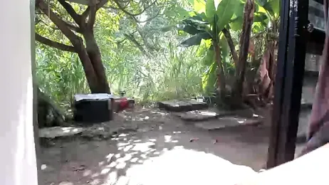 venusandzeus@xh webcam model stream image