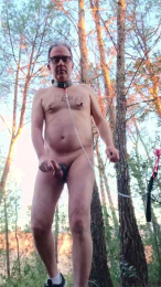 perrasum3 webcam model stream image