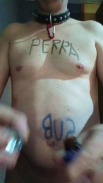 perrasum3 webcam model stream image