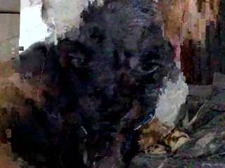 currentsea webcam model stream image