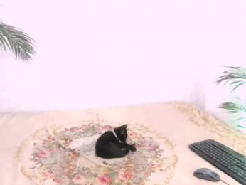 toadboys webcam model stream image