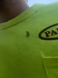 charactrzero webcam stripchat model stream image