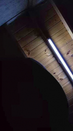 bebe366 webcam model stream image