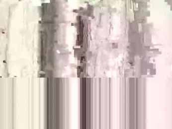 denise_brad webcam model stream image