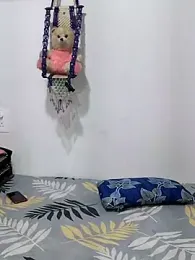 Sexyy_hott_couple webcam stripchat model stream image