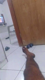 06829793335 webcam cam4 model stream image