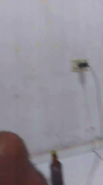 06829793335 webcam model stream image