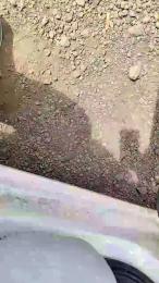 Bembeleza webcam model stream image