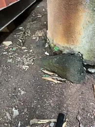 Black-mamba-madingo webcam stripchat model stream image