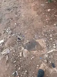 Black-mamba-madingo webcam stripchat model stream image