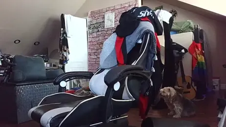 bigshh8 webcam model stream image