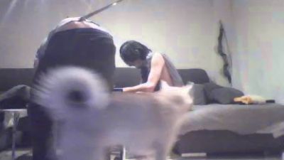 Polardos webcam model stream image