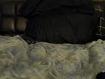 toolmaster3000 webcam model stream image