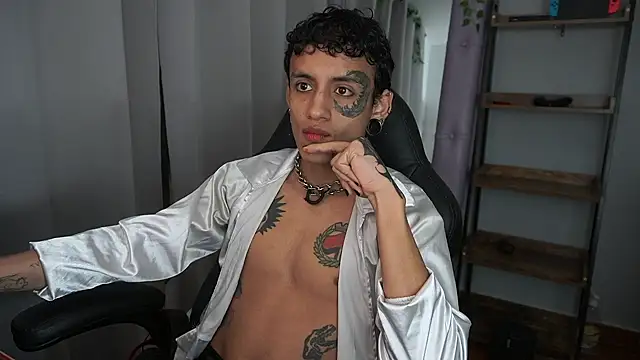 Sidragasso webcam model stream image