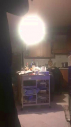 disinibitoxxx webcam model stream image