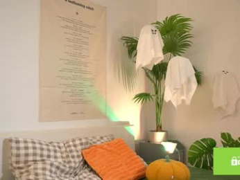 swtty_meivi webcam model stream image