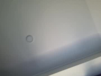 alexsunn webcam model stream image