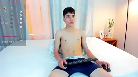 oblivion_deku webcam model stream image