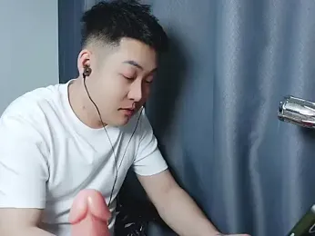 Llpl322 webcam model stream image