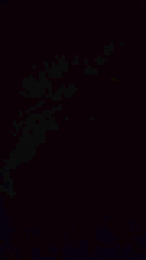 vogliadi6 webcam model stream image