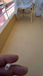 DDDelfino webcam model stream image