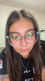 konirsmate webcam model stream image