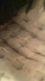 fallofelice2 webcam model stream image