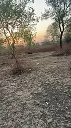 marathi_cam webcam model stream image