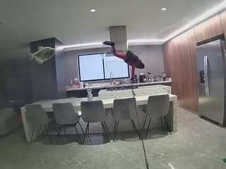 voyeurcam-casa-salsa-fishtank webcam model stream image
