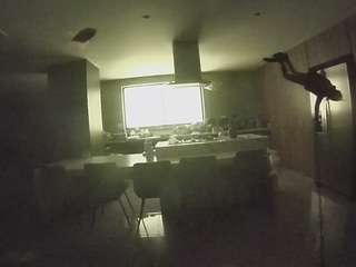 voyeurcam-casa-salsa-fishtank webcam model stream image