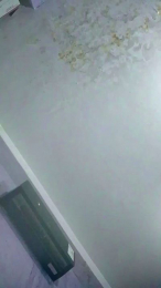 Guadalupe20 webcam model stream image