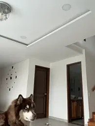 Arilw webcam model stream image