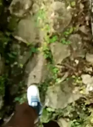 dpkpaksudda webcam model stream image