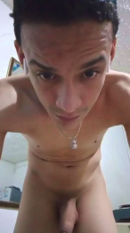 Melga02 webcam model stream image