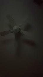 DaMeatMissle webcam cam4 model stream image